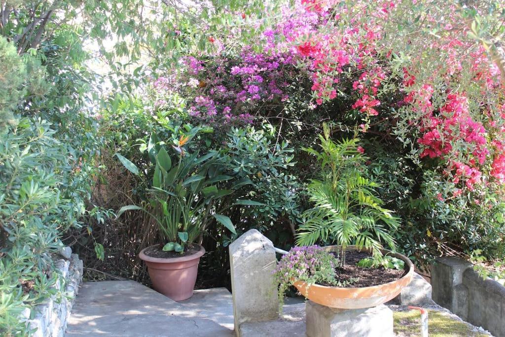 Casa Letizia Daire Taormina Dış mekan fotoğraf